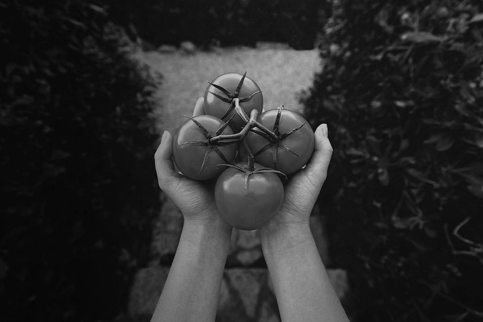 Calmista-Valors Calmista-Valors